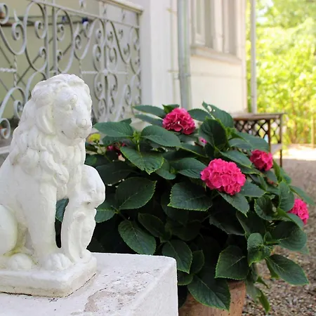 Sanssouci Meeresrauschen Apartment Binz